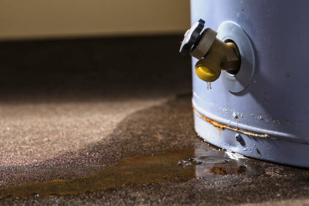 Best Sewage cleanup and water damage restoration  in Bayou Vista, LA