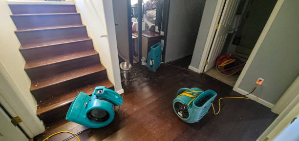 Best Local water damage restoration  in Bayou Vista, LA