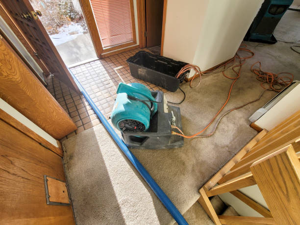 Best Commercial water damage restoration  in Bayou Vista, LA
