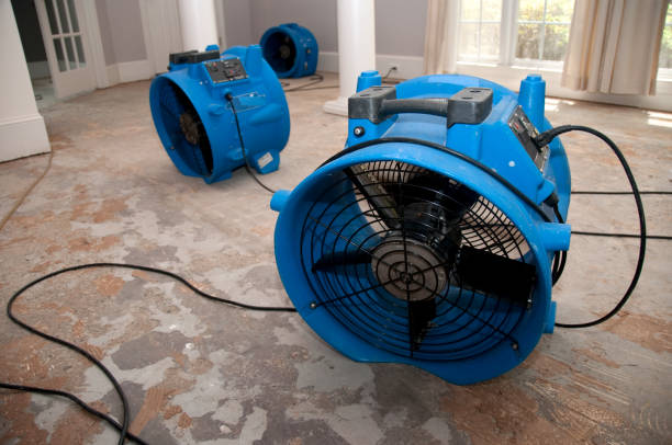 Best 24-hour water damage restoration  in Bayou Vista, LA
