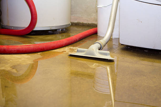 Best Emergency water damage restoration  in Bayou Vista, LA