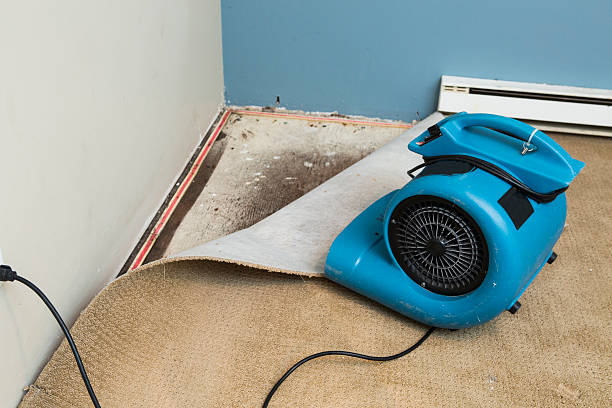 Best Basement water damage restoration  in Bayou Vista, LA